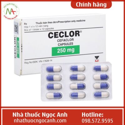 Thuốc Ceclor 250mg Menarini là thuốc gì?
