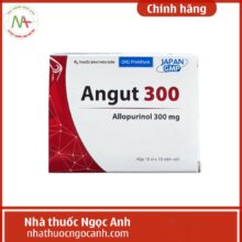 Angut 300