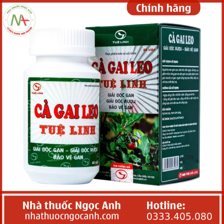 Cà gai leo Tuệ Linh