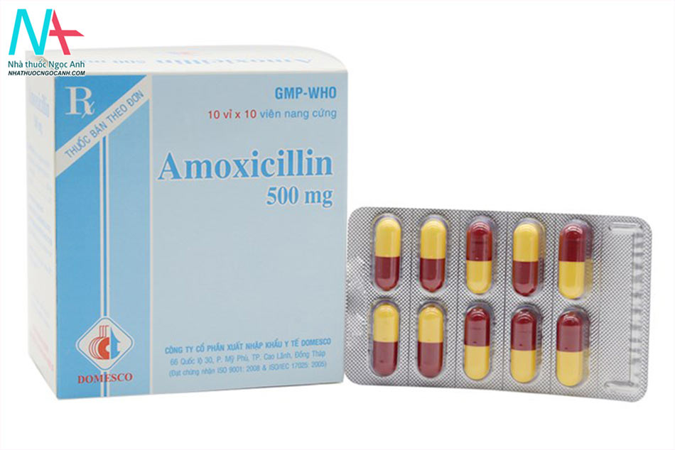Thuốc kháng sinh Amoxicillin 500mg điều trị cho trẻ mắc Lyme