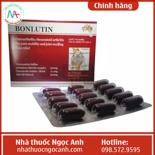 Thành phần chính của thuốc Bonlutin
