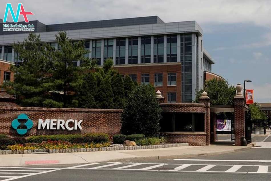 Giới thiệu về công ty Merck