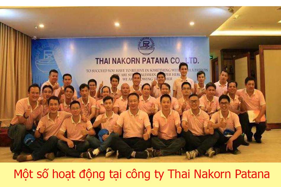 các hoạt động của công ty Thái Nakorn Patana
