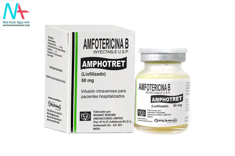 Thuốc kháng nấm Amphotericina B