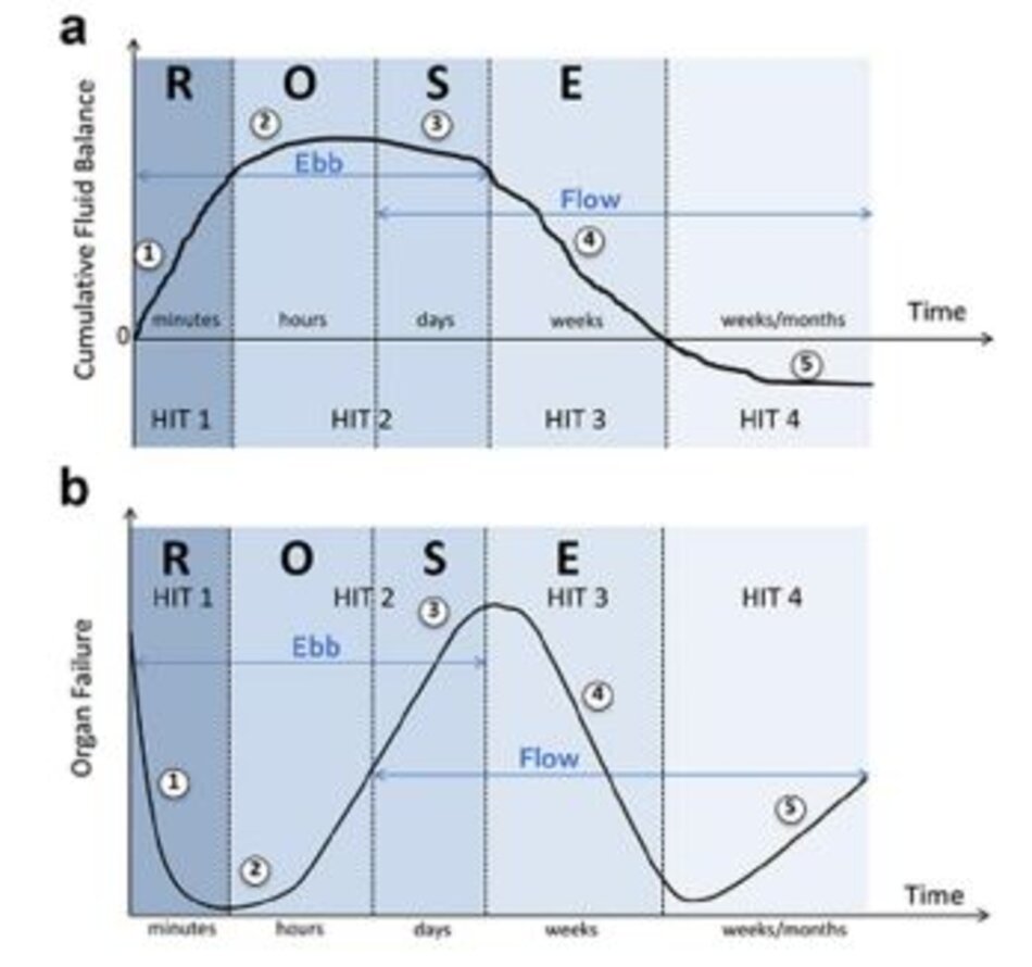 Hình 5: Các giai đoạn dịch truyền khác nhau trong quá trình sốc. Chuyển thể từ Malbrain et al. với sự cho phép [1]. a Biểu đồ cho thấy mô hình bốn cú sốc với các giai đoạn “ebb” và “flow” và sự tiến triển của tình trạng thể tích dịch tích lũy của bệnh nhân theo thời gian trong năm giai đoạn hồi sức khác nhau: hồi sức (1), tối ưu hóa (2), ổn định (3) và dẫn lưu (4) (ROSE), theo sau là nguy cơ giảm tưới máu (5) có thể xảy ra trong trường hợp hồi sức quá tích cực. Xem văn bản để giải thích. b Đồ thị minh họa mô hình bốn cú sốc tương ứng với tác động lên chức năng cơ quan cuối liên quan đến tình trạng dịch truyền. Khi nhập viện, bệnh nhân bị giảm thể tích máu (1), sau đó là thể tích máu bình thường (2) sau khi hồi sức truyền dịch, và quá tải dịch truyền (3), một lần nữa sau đó là giai đoạn chuyển sang thể tích máu bình thường với giảm hồi sức (4) và giảm thể tích máu có nguy cơ giảm tưới máu (5). Trong trường hợp giảm thể tích máu (giai đoạn 1 và 5), O 2 không thể xâm nhập vào các mô vì các vấn đề đối lưu, trong trường hợp tăng thể tích máu (giai đoạn 3) O 2 không thể xâm nhập vào mô vì các vấn đề khuếch tán liên quan đến phù mô kẽ và phổi, phù ruột (phù hồi tràng và tăng áp lực ổ bụng). Xem văn bản để giải thích