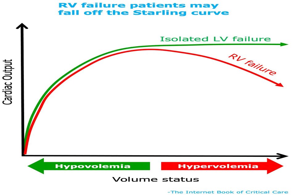 Bệnh nhân suy RV có thể rơi khỏi đường cong Starling