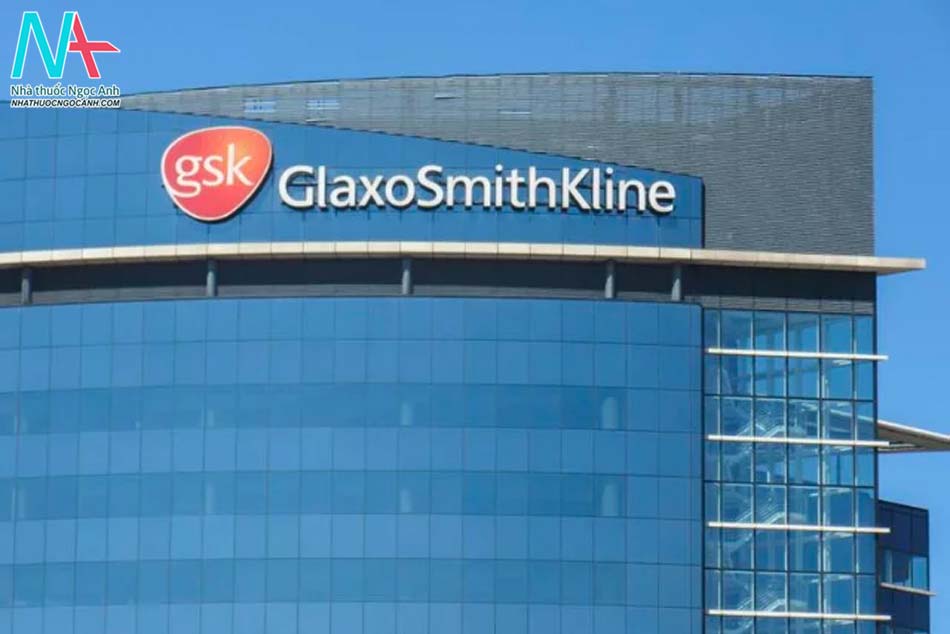 Các hoạt động của công ty Glaxosmithkline