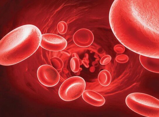 Bệnh hạ Kali máu: Nguyên nhân, triệu chứng và chẩn đoán theo BMJ