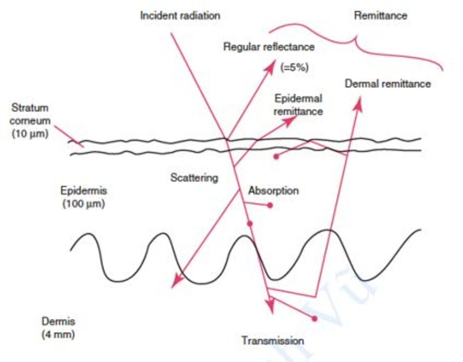 Hình 1.19 Sơ đồ các con đường quang học trong da: Phản xạ, Truyền dẫn, Tán xạ, Hấp thụ