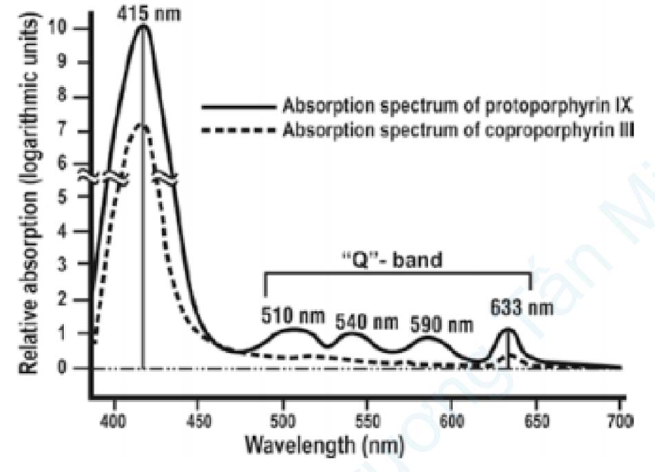 Hình 18.16 Phổ hoạt động của coproporphyrin III và protoporphyrin IX. Lưu ý đỉnh cao nhất ở 415 nm và nhỏ hơn ở 633 nm, ánh sáng màu đỏ nhìn thấy được, đặc biệt là ở Pp IX, đề xuất dùng bước sóng màu đỏ để kích hoạt sâu hơn các porphyrin được tạo ra từ 5-ALA trong PDT đối với các tổn thương da.