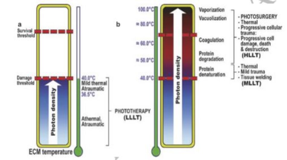 Hình 9.4 Ngưỡng tồn tại và tổn thương của tế bào đã được miêu tả, cùng với sự phân loại về mức độ phản ứng tế bào (phân loại Ohshiro) và những thay đổi trong nhiệt độ chất nền ngoại bào (ECM). 