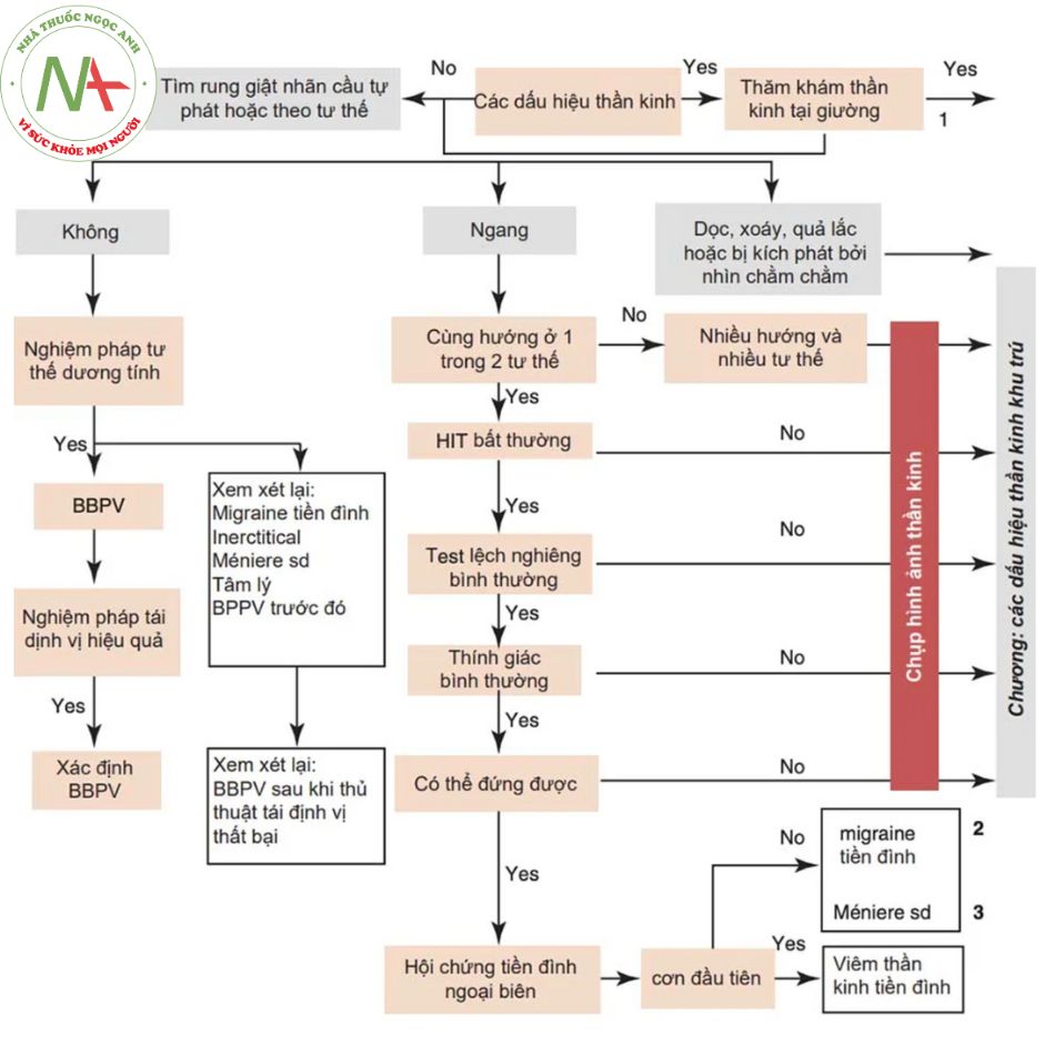 Figure 8.1 Sơ đồ tiếp cận chẩn đoán chóng mặt tại phòng cấp cứu.