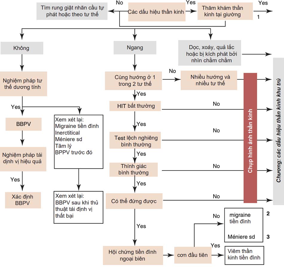 Figure 8.1 Sơ đồ tiếp cận chẩn đoán chóng mặt tại phòng cấp cứu