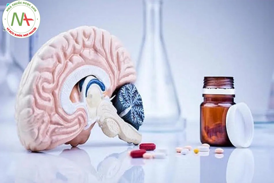 Thuốc bổ não là gì?