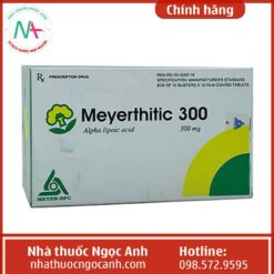 Hình ảnh thuốc Meyerthitic 300