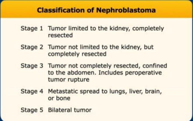 Classification of nephroblastoma