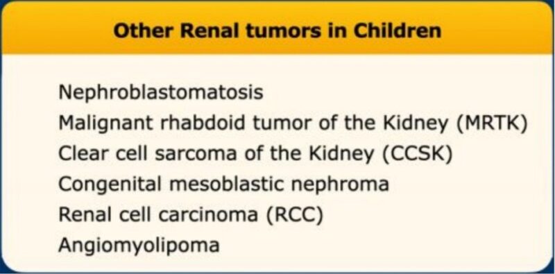 Other Renal tumors in Children