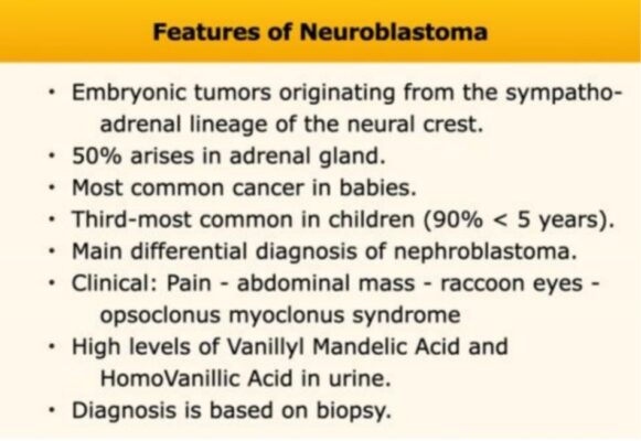Features of neurblastoma