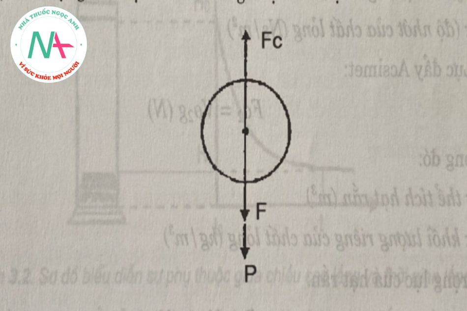 Hình 3.1. Sơ đồ thể hiện các lực tác động vào hạt rắn khi hạt lắng trong môi trường lỏng tĩnh P. Trọng lực của hạt; Fc. Lực cản của môi trường lỏng (gồm lực ma sát (Fc1) và lực đẩy Acsimet (Fc2); F. Lực quán tính.