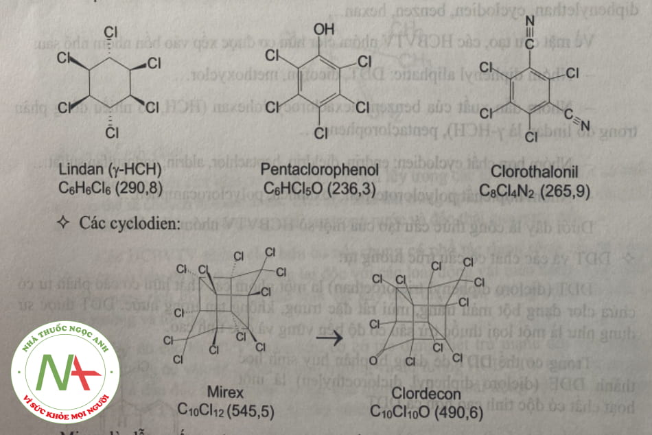 Các dẫn xuất của benzen và cyclodien