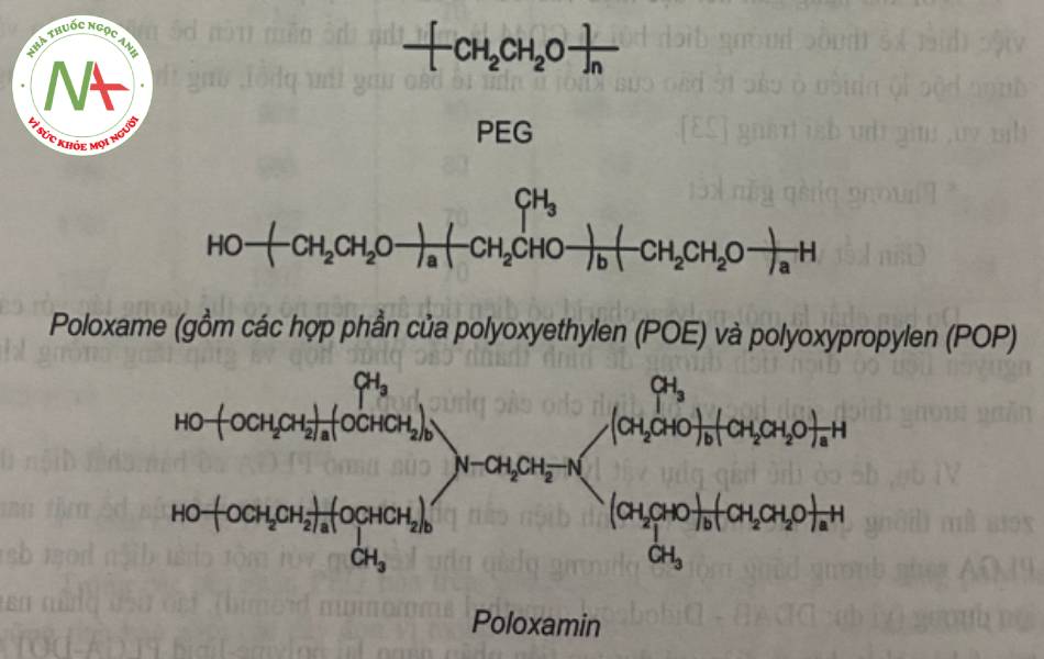 Hình 9. Cấu trúc các loại polyme thường dùng để PEG hóa 
