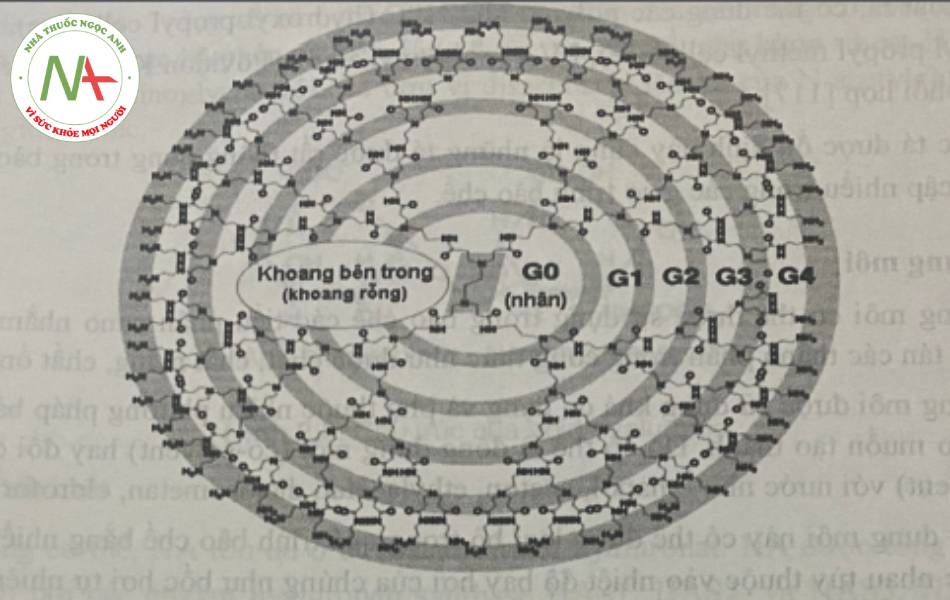 Hình 7.Hình minh họa cấu trúc 1 dendrime G4 với 64 nhóm amin ở ngoại biên