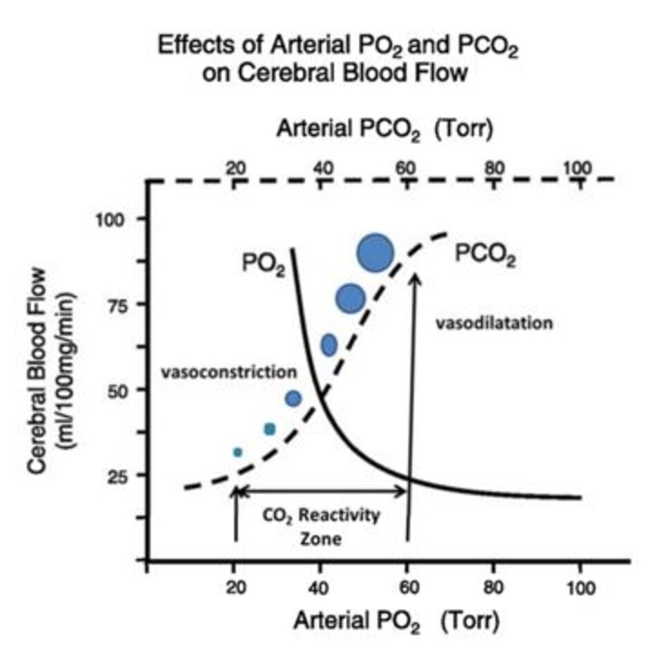 Hình 2. Ảnh hưởng của CO2 động mạch đến lưu lượng máu não.