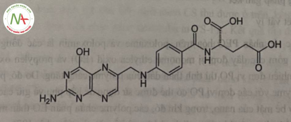 Hình 11. Công thức cấu tạo acid folic