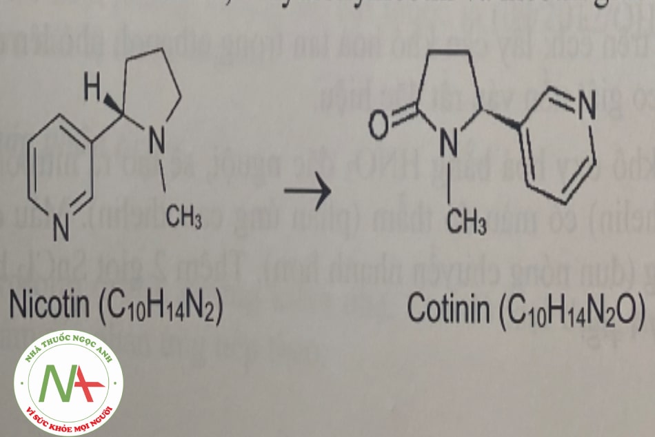 Nicotin (C10H14N2) Cotinin (C10H14N2O)