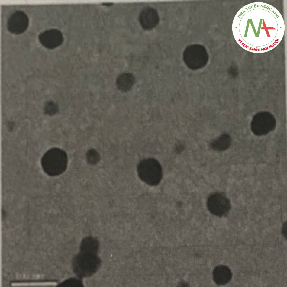 Hình 29. Hình ảnh TEM của nano lipid rắn chứa isotretinoin