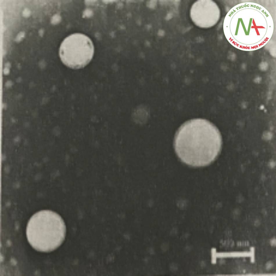 Hình 31. Hình ảnh TEM của nano sử dụng 8% glyceryl monostearat
