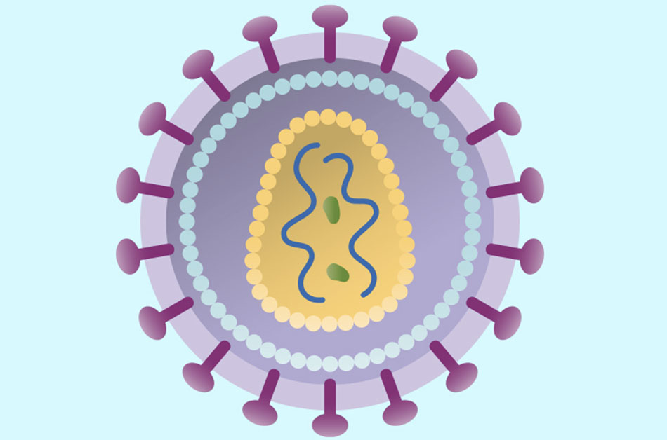 Mô hình Virus độc đáo được làm bằng thủy tinh  Báo Dân trí
