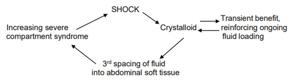 Futile crystalloid cycle in abdominal compartment syndrome