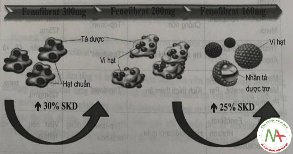 Khả năng cải thiện sinh khả dụng của fenofibrat khi giảm KTTP