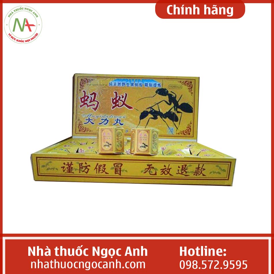 Hình ảnh sản phẩm Kiến Càng Đen Tây Tạng