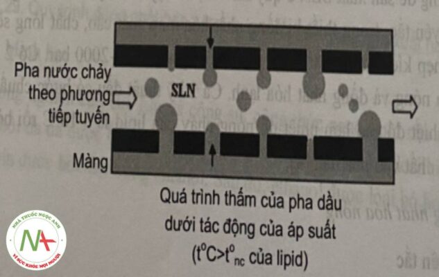 Hình 26. Minh họa kỹ thuật phân tán qua màng trong bào chế SLN