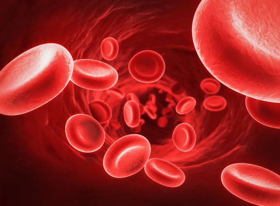 Nguyên nhân và hậu quả của việc kích hoạt quá trình đông máu trong nhiễm trùng huyết: Sự phát triển trong quan điểm y học