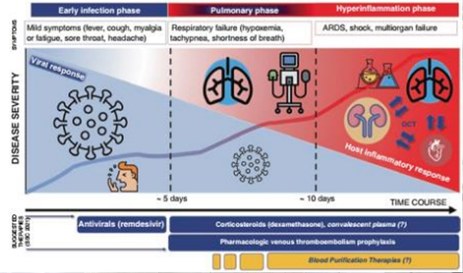 Fig.1.1 COVID-19; The three different phases, symptoms and suggested therapies according to the 2021 Surviving Sepsis Campaign (SSC) guidelines [13]. OCT organ crosstalk; ARDS acute respiratory distress syndrome