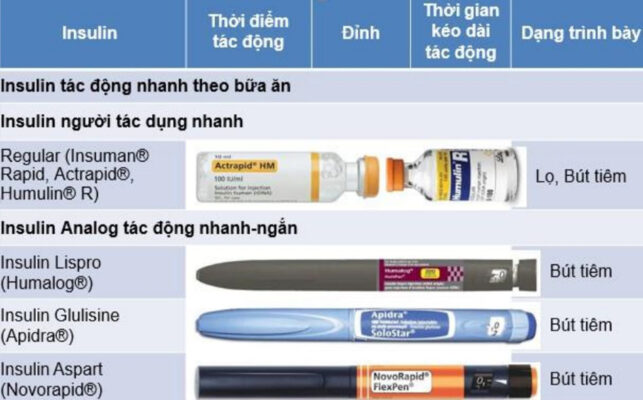Thuốc Inssulin R Phác đồ INSULIN cho người bệnh nội trú