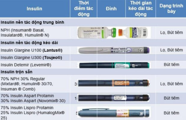 Thuốc Inssulin R Phác đồ INSULIN cho người bệnh nội trú