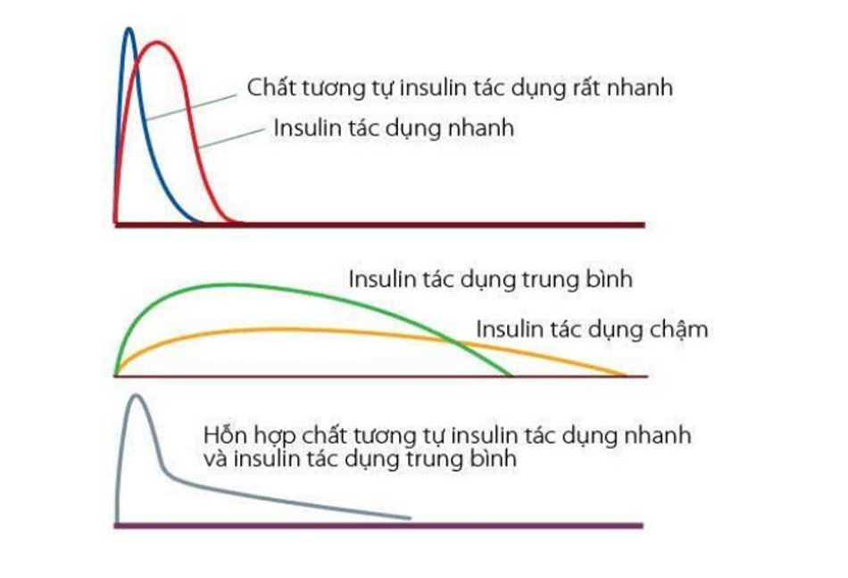 Mô hình dược động học của các dạng insulin khác nhau