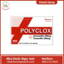 Hộp thuốc Polyclox
