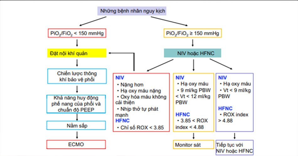 Fig. 1 Protocol of respiratory therapy for COVID-19-induced ARDS. NIV non-invasive ventilation, HFNC high-fow nasal cannula, PBW predict body weight, ECMO extracorporeal membrane oxygenation