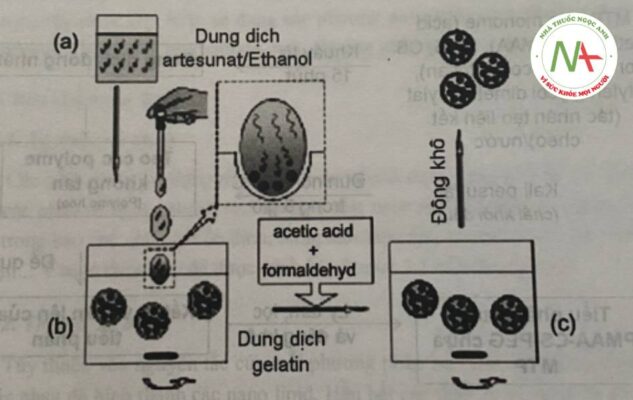 Hình 25. Sơ đồ bào chế tiểu phân nano artesunat-gelatin