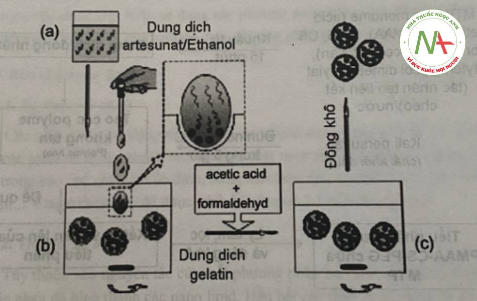 Hình 25. Sơ đồbaof chế tiểu phân nano artesunat-gelatin