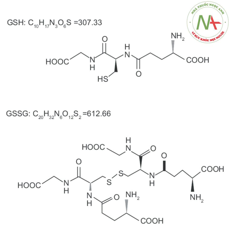 Glutathione dạng khử GSH và dạng oxy hóa GSSG.