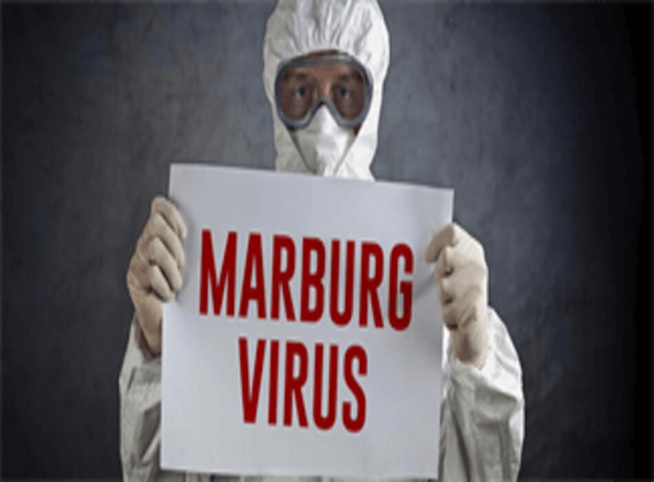 Nhiễm virus Marburg: Nguyên nhân, chẩn đoán và hướng dẫn điều trị theo BMJ