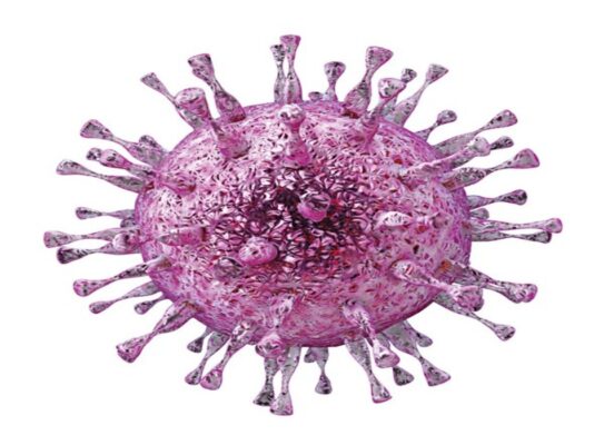 Nhiễm virus Herpes B: Nguyên nhân, chẩn đoán và hướng dẫn điều trị theo BMJ