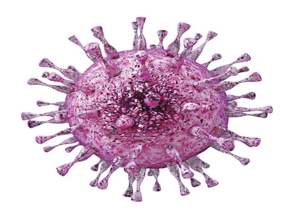 Nhiễm virus Herpes B: Nguyên nhân, chẩn đoán và hướng dẫn điều trị theo BMJ
