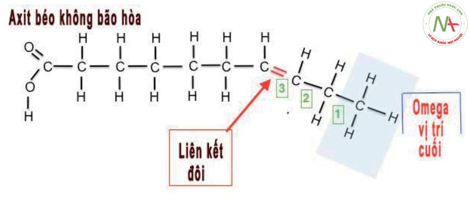 Carbon không no ở vị trí số 3 từ cuối đi lên gọi là vị trí omega-3.